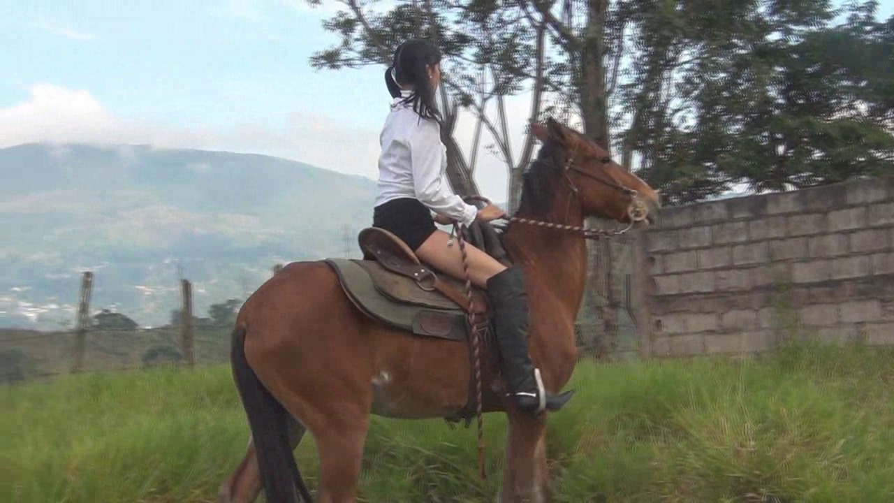 CL8565_Yf_Ye_NaughtyVeronica.wmv_random_01.jpg