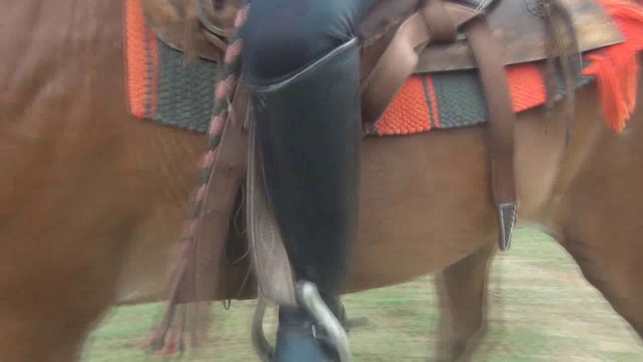 CL8565_Yf_Ye_sylviaGoddess.wmv_random_01.jpg