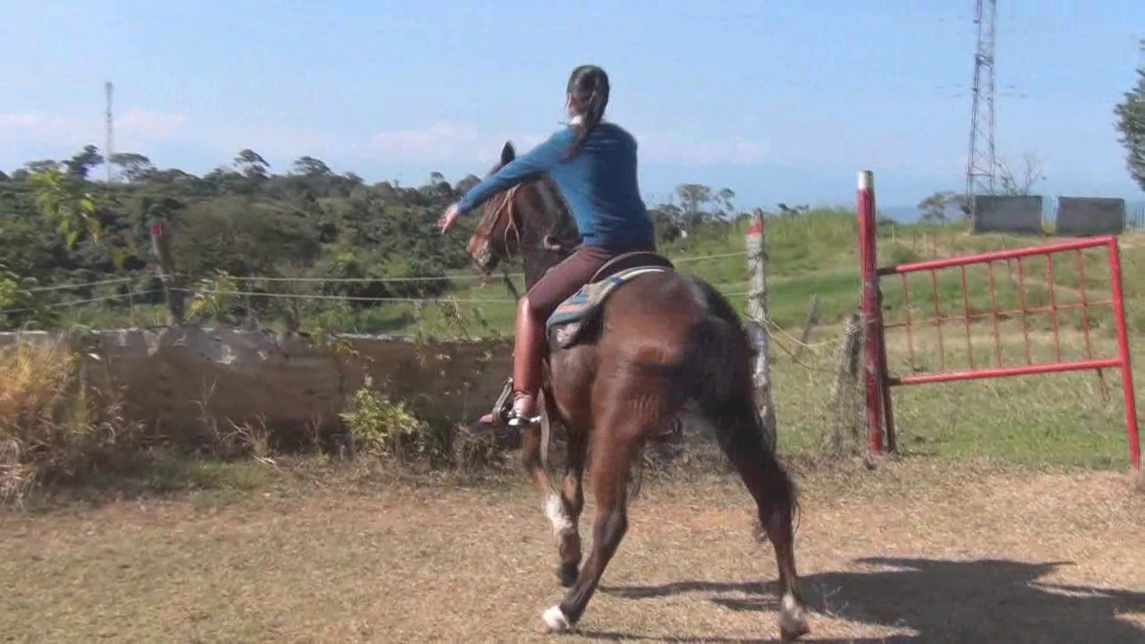 CL8565_Yf_Ye_VeronicatraininginTRT.wmv_random_01.jpg