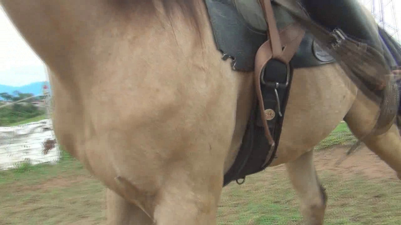 CL8565_Yf_Ye_WelcomeDubraska.wmv_random_01.jpg