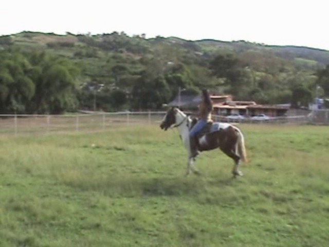 Diosa04.wmv_random_01.jpg