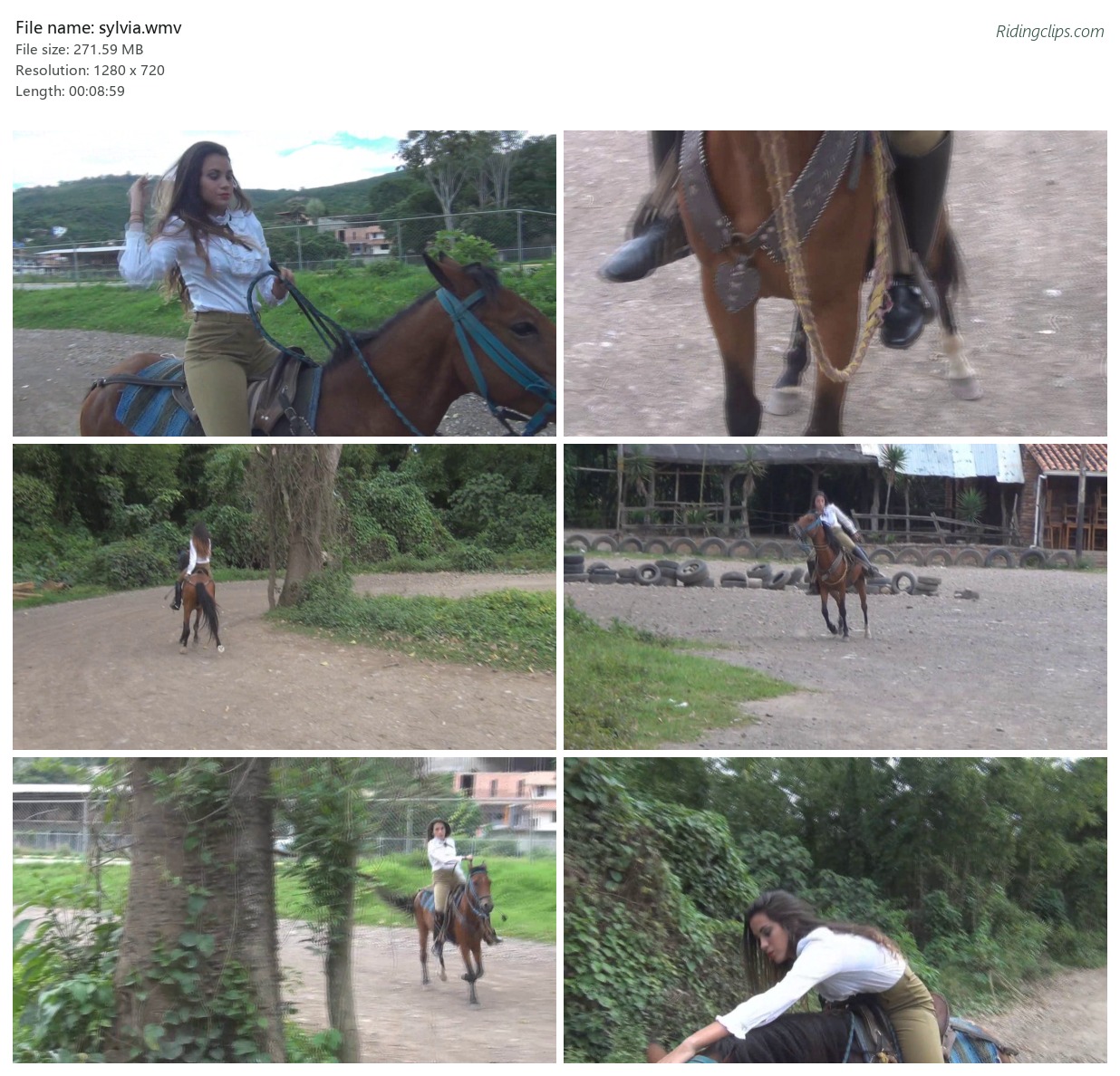 sylvia.wmv_2x3.jpg