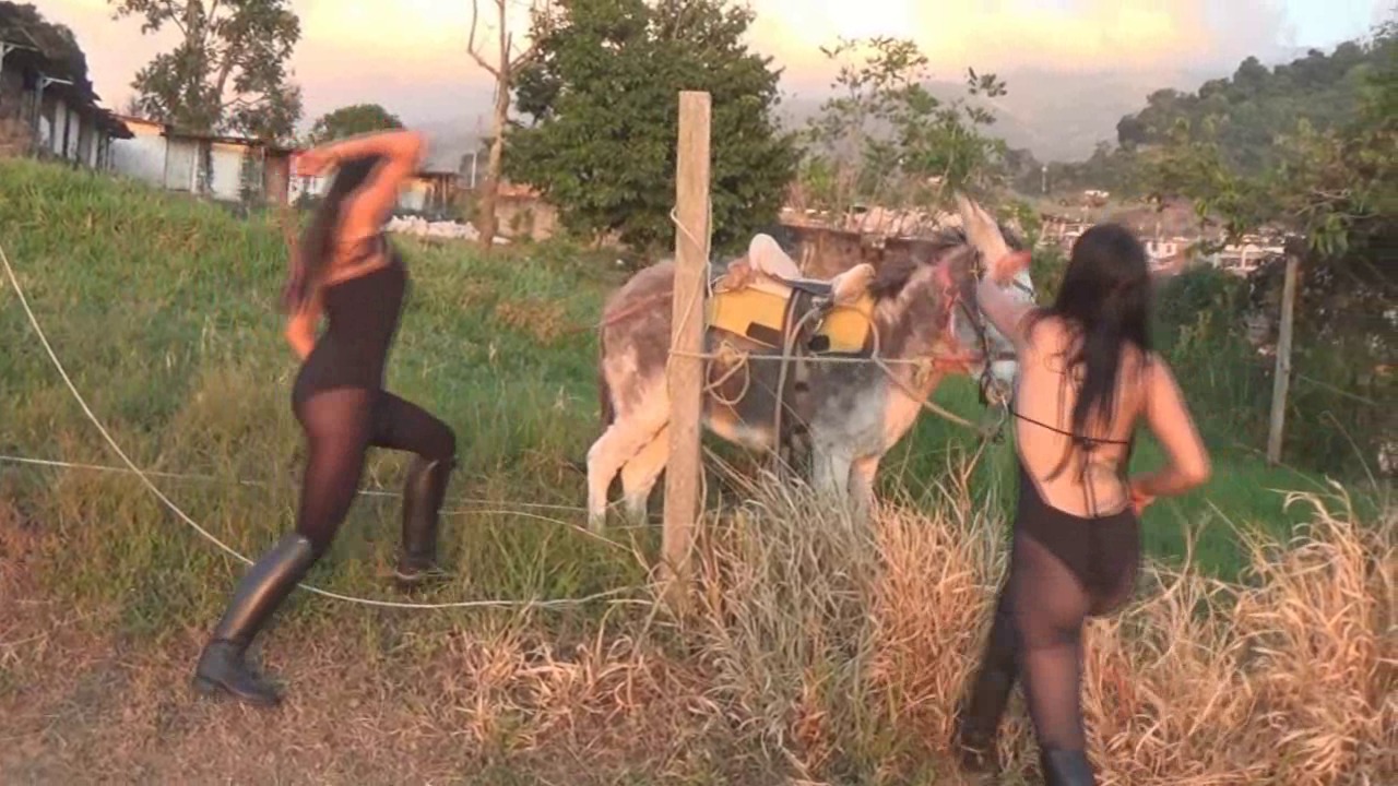 tf te venusandcruellara.wmv