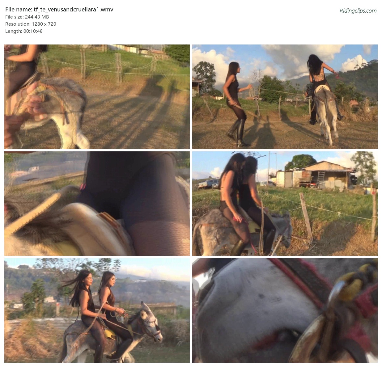 tf_te_venusandcruellara1.wmv_2x3.jpg