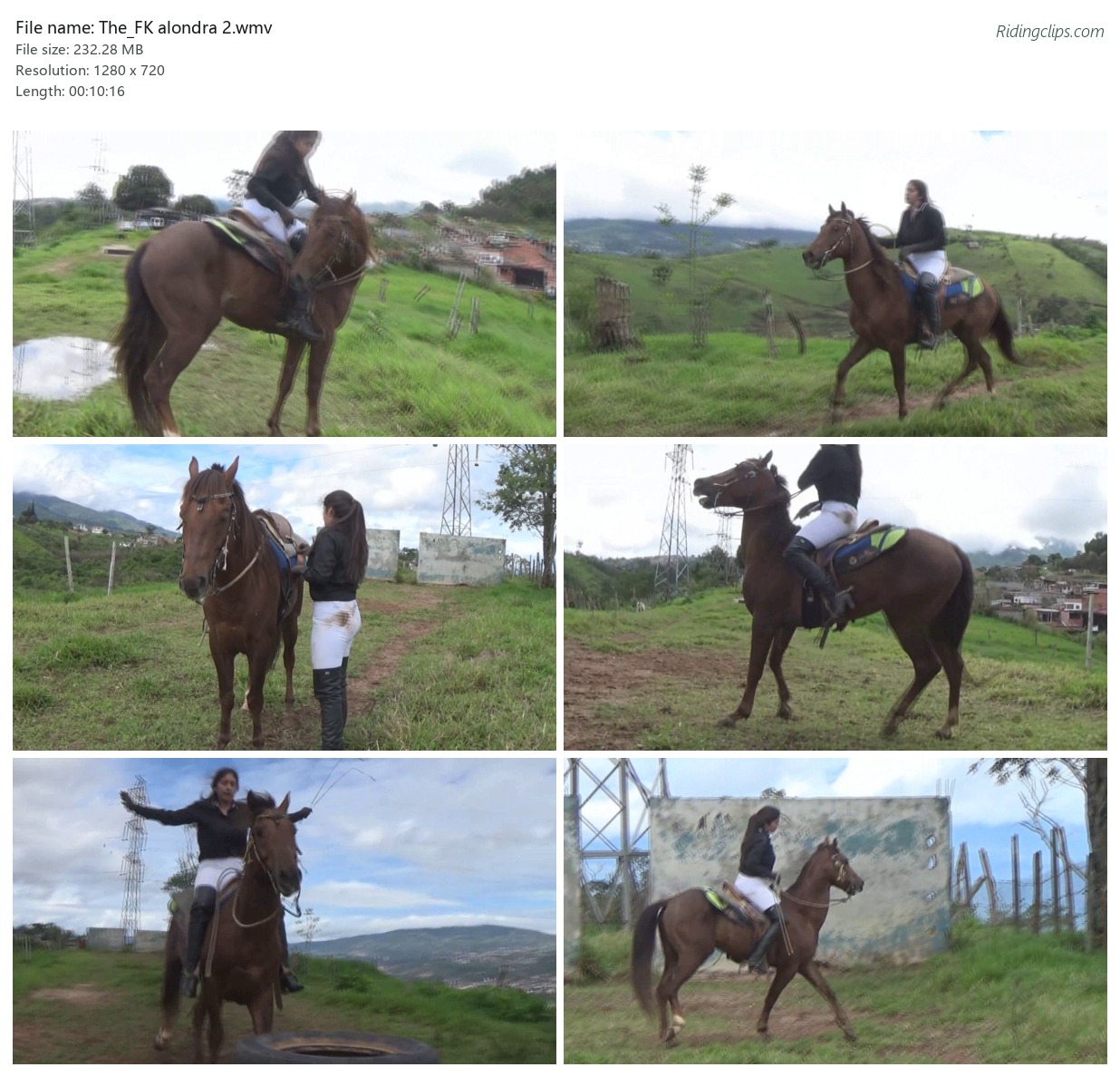 The_FK alondra 2.wmv_2x3.jpg