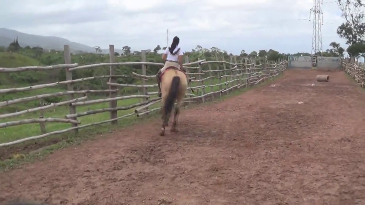 brown boots K.mp4_random_01.jpg