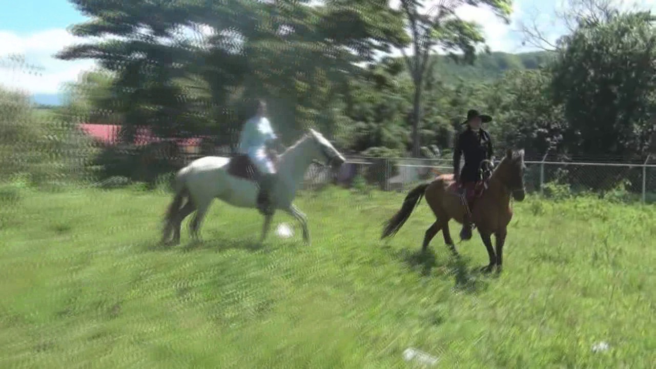 CL8565_AmaKandDiosaRidingFun.wmv_random_01.jpg