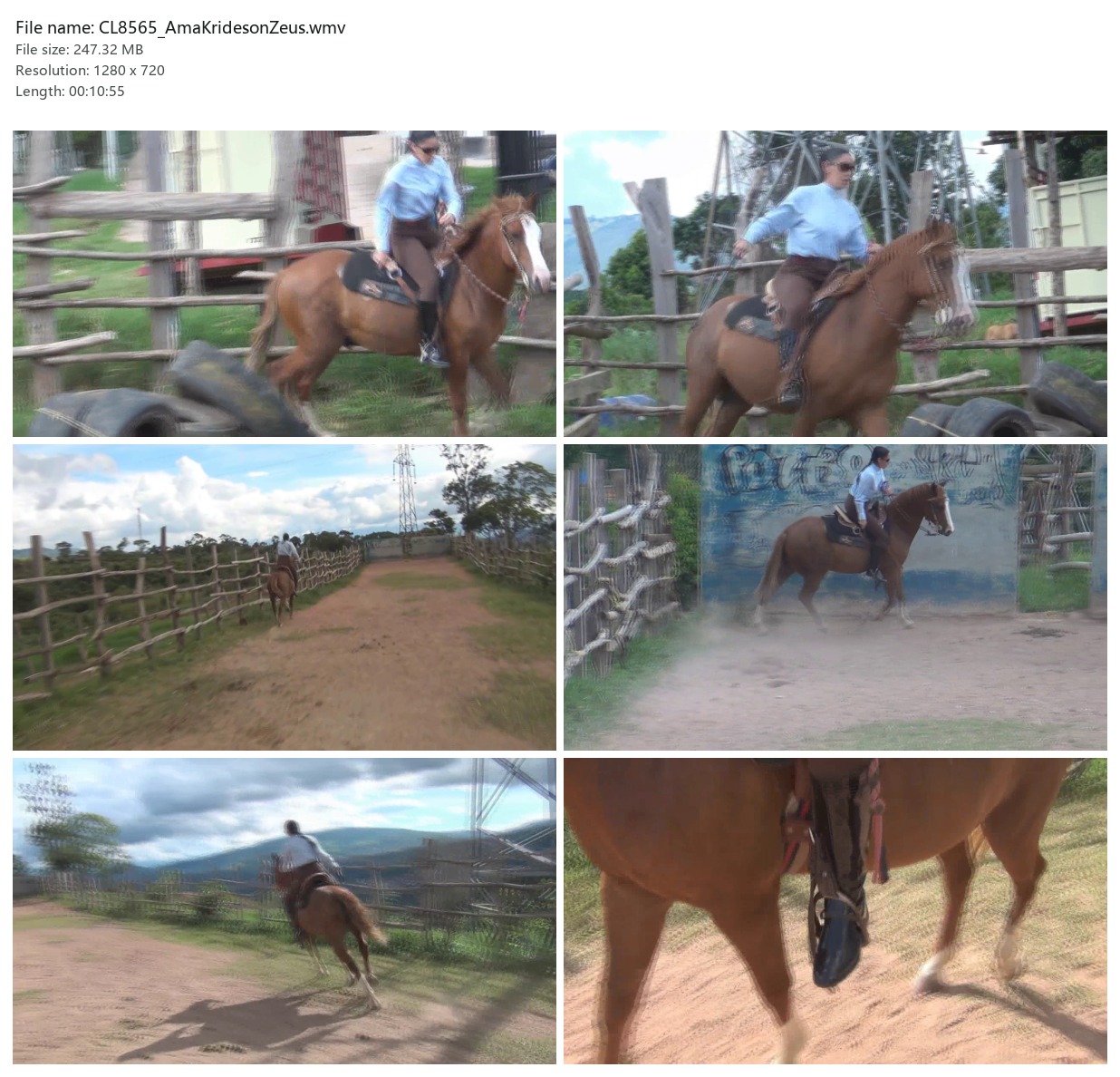 CL8565_AmaKridesonZeus.wmv_2x3.jpg