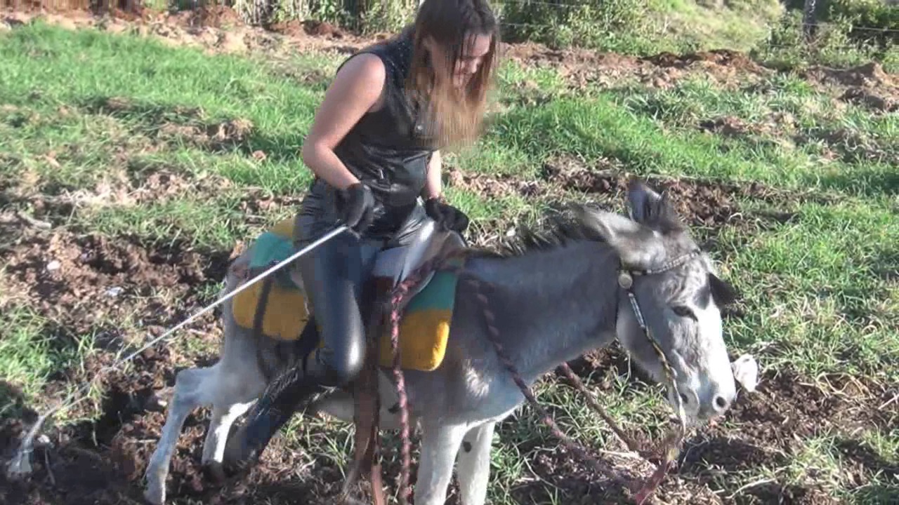 CL8565_ArreBurro2L.wmv_random_01.jpg