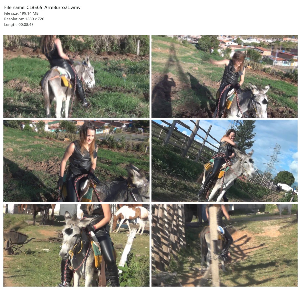 CL8565_ArreBurro2L.wmv_2x3.jpg