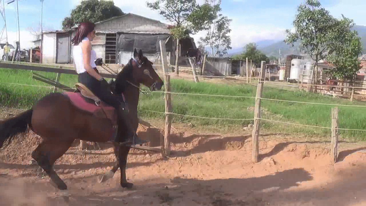 CL8565_BackwardWalkerCastawayJ.wmv_random_01.jpg