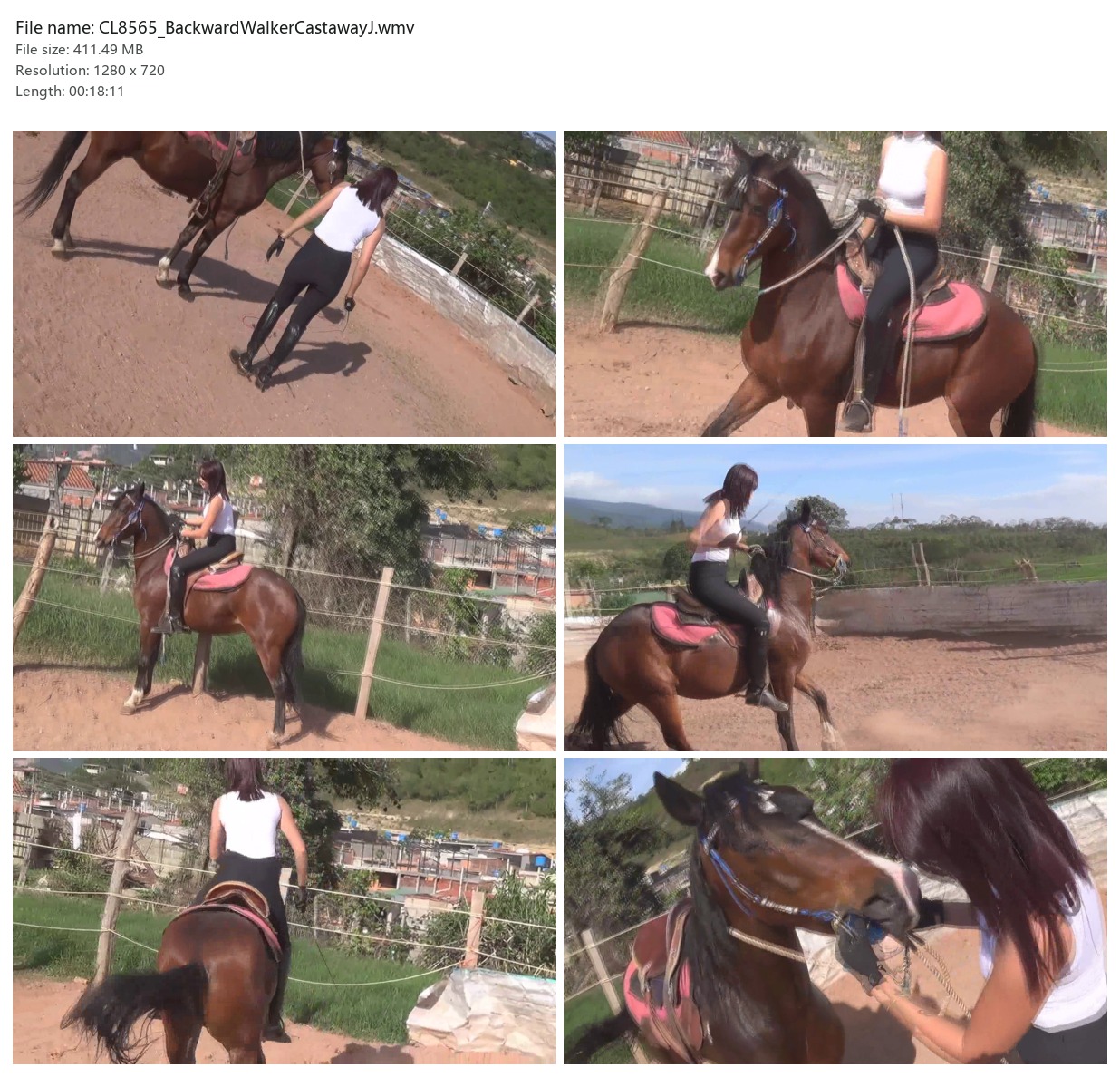 CL8565_BackwardWalkerCastawayJ.wmv_2x3.jpg