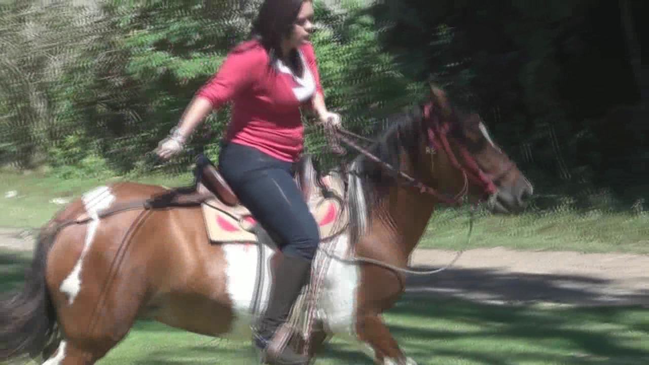 CL8565_BarbaravsBonitaRound2.wmv_random_01.jpg