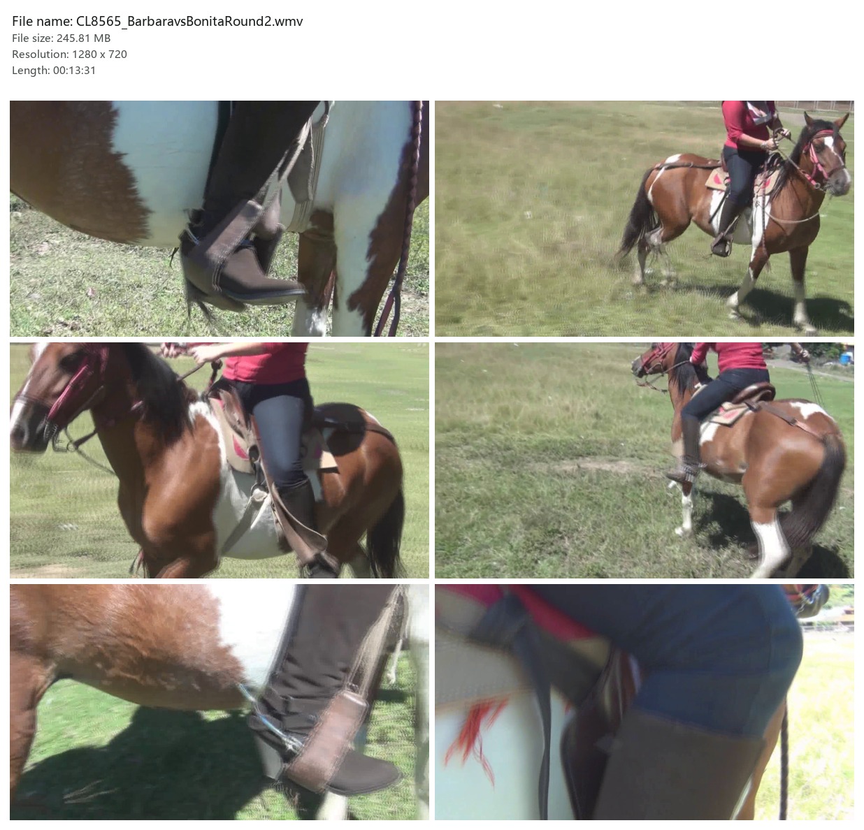 CL8565_BarbaravsBonitaRound2.wmv_2x3.jpg