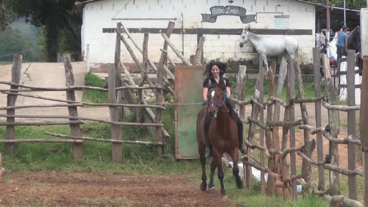 CL8565_BarebackridingonCardenalbyAmaK.wmv_random_01.jpg