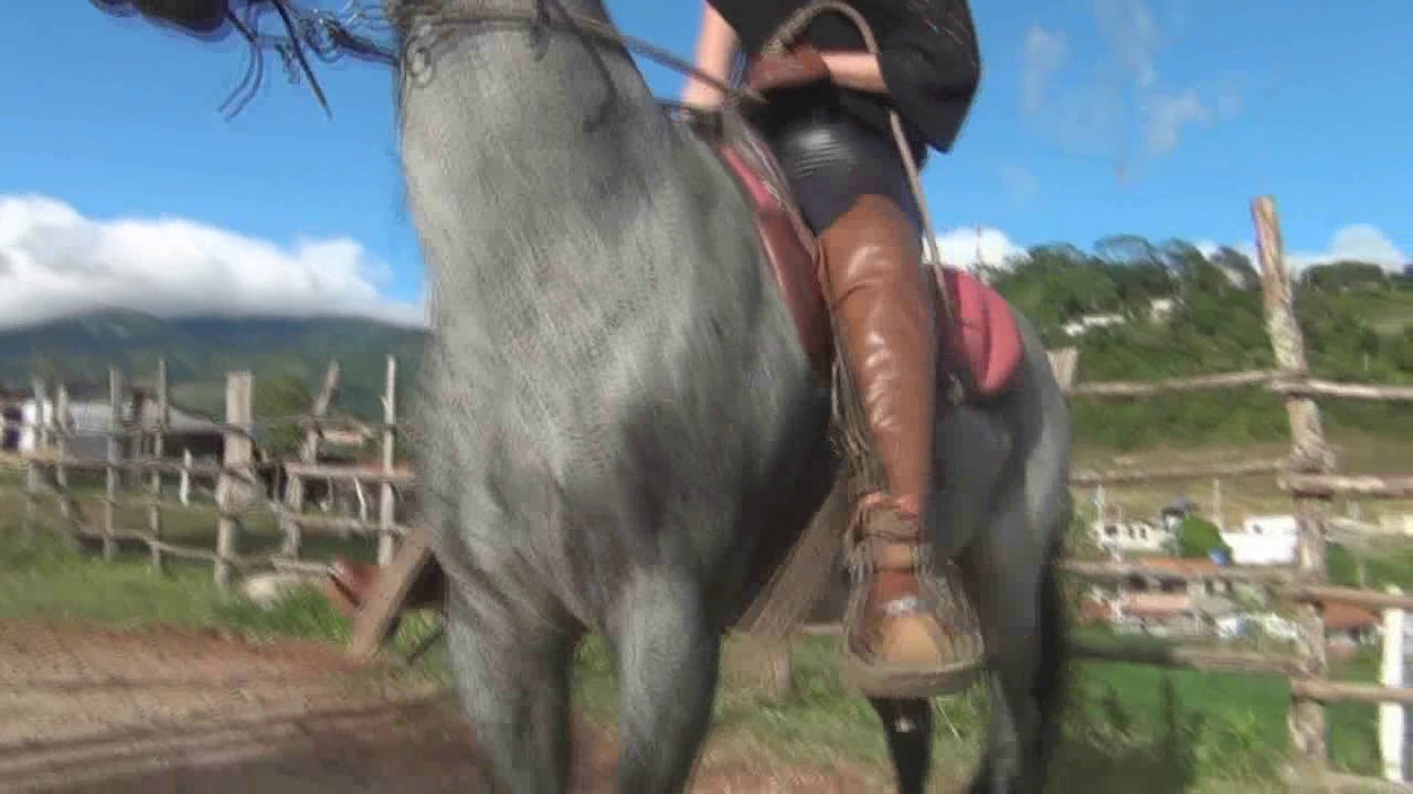 CL8565_BESTJOANNA.wmv_random_01.jpg