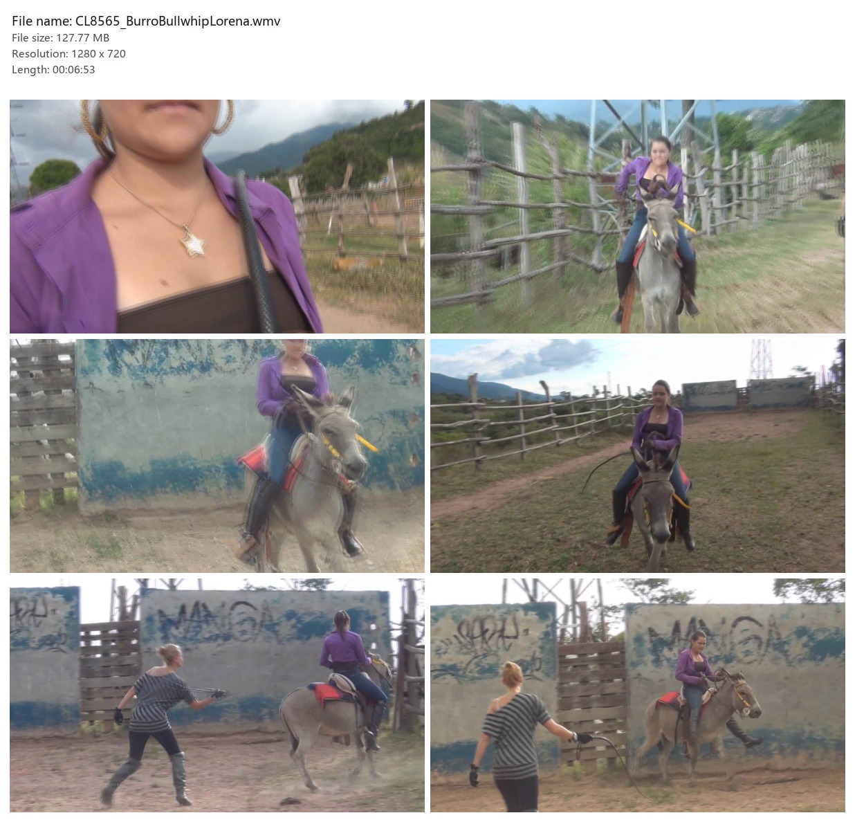 CL8565_BurroBullwhipLorena.wmv_2x3.jpg