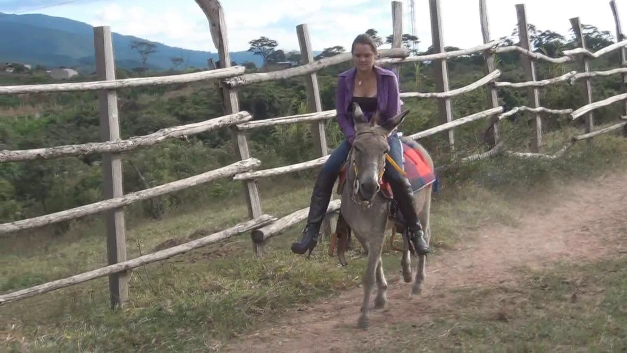 CL8565 BurroBullwhipLorena.wmv