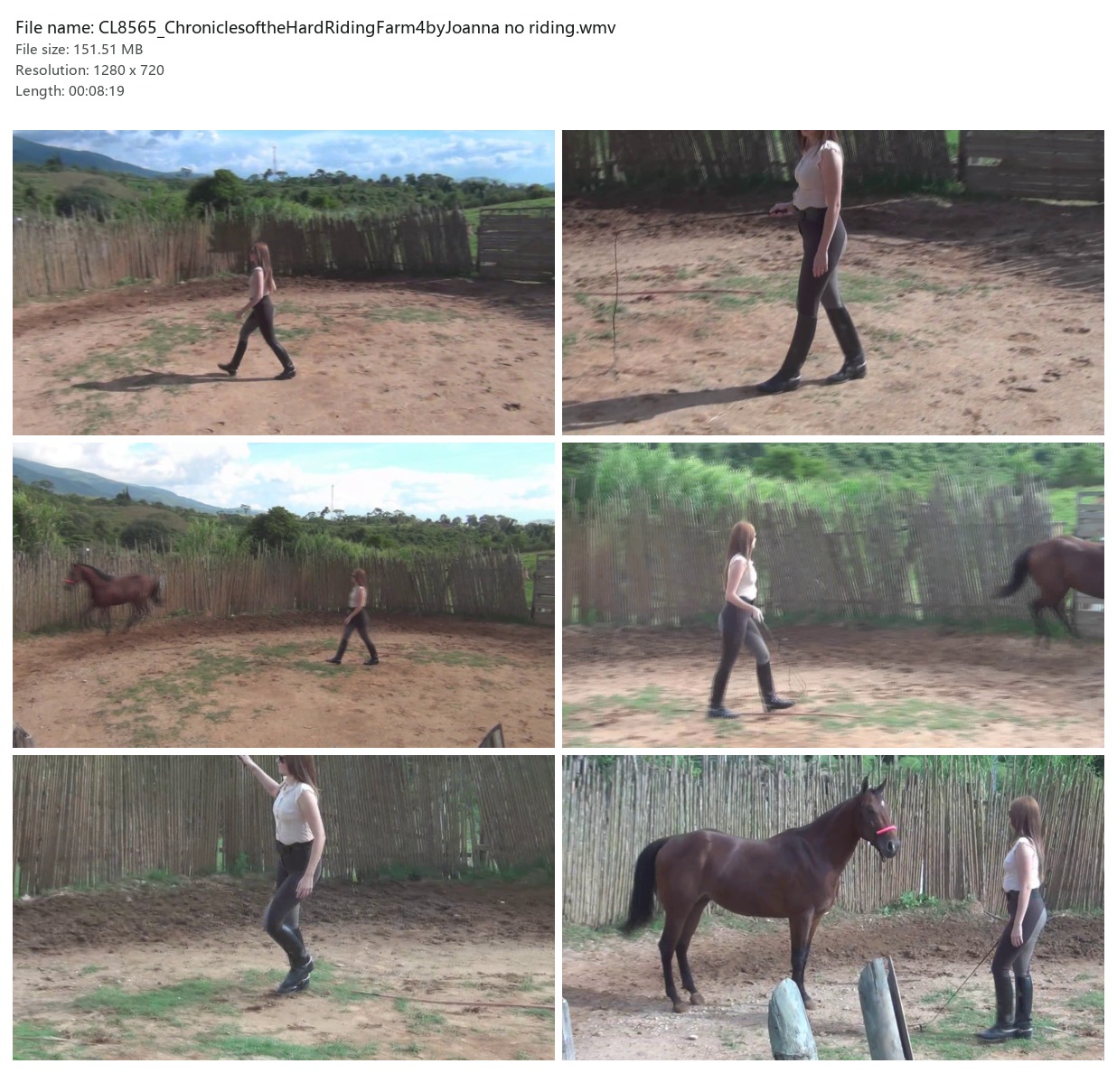 CL8565_ChroniclesoftheHardRidingFarm4byJoanna no riding.wmv_2x3.jpg
