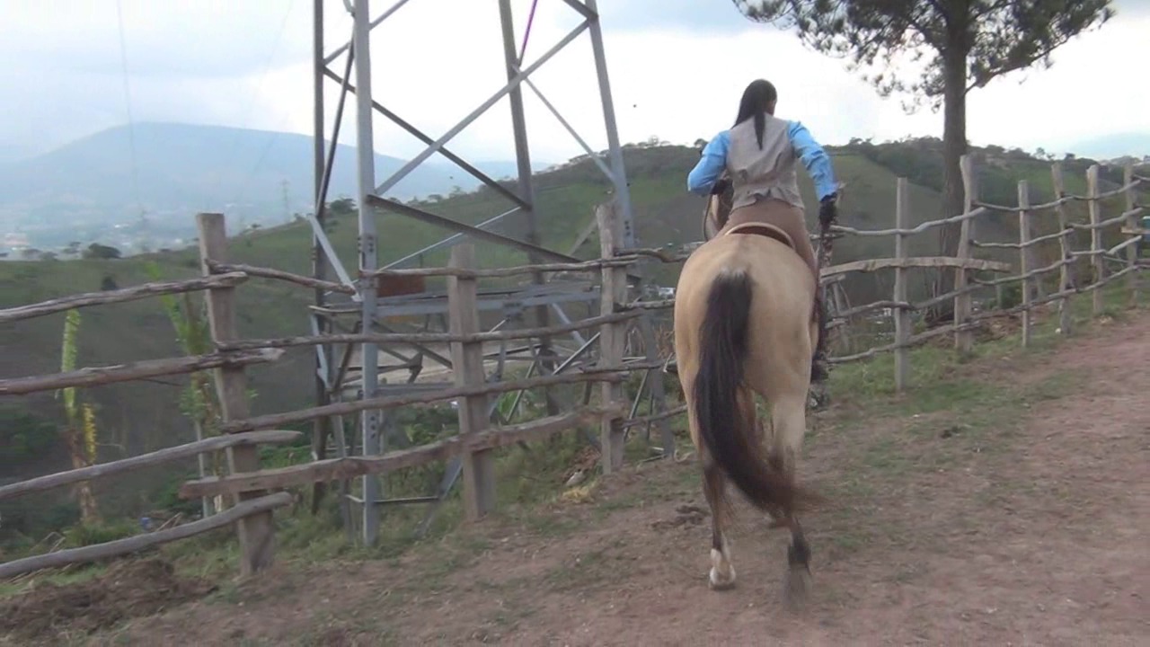 CL8565_ClassicDressageRiderK.wmv_random_01.jpg
