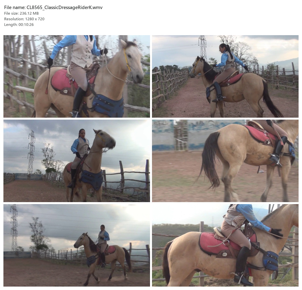 CL8565_ClassicDressageRiderK.wmv_2x3.jpg