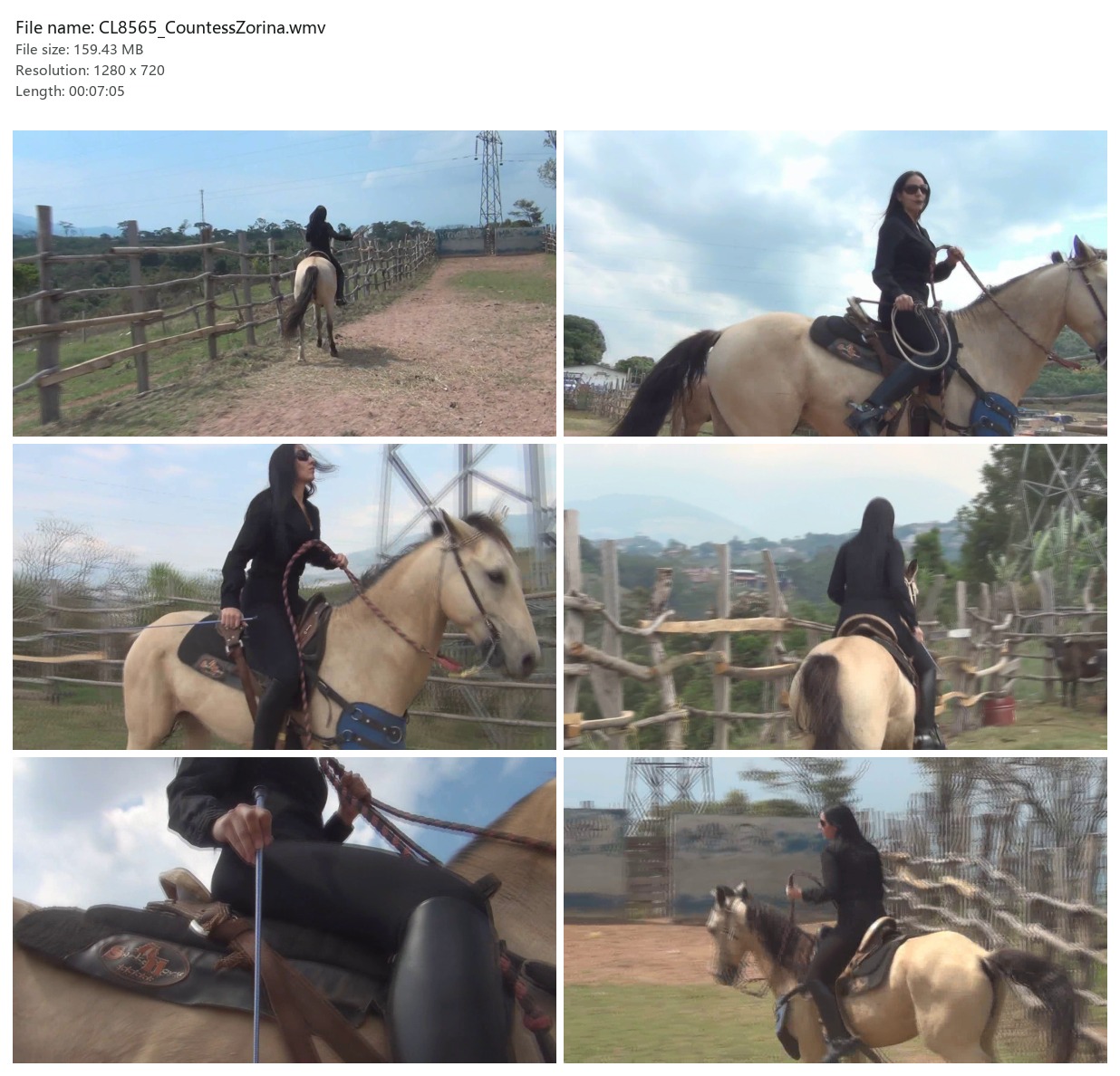 CL8565_CountessZorina.wmv_2x3.jpg