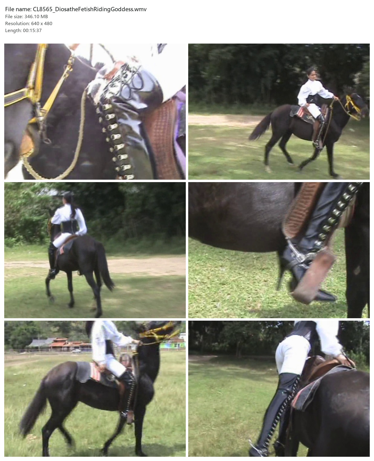 CL8565_DiosatheFetishRidingGoddess.wmv_2x3.jpg