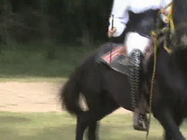 CL8565 DiosatheFetishRidingGoddess.wmv