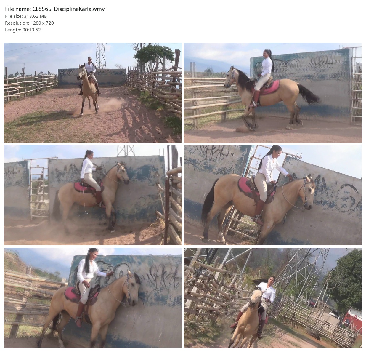 CL8565_DisciplineKarla.wmv_2x3.jpg