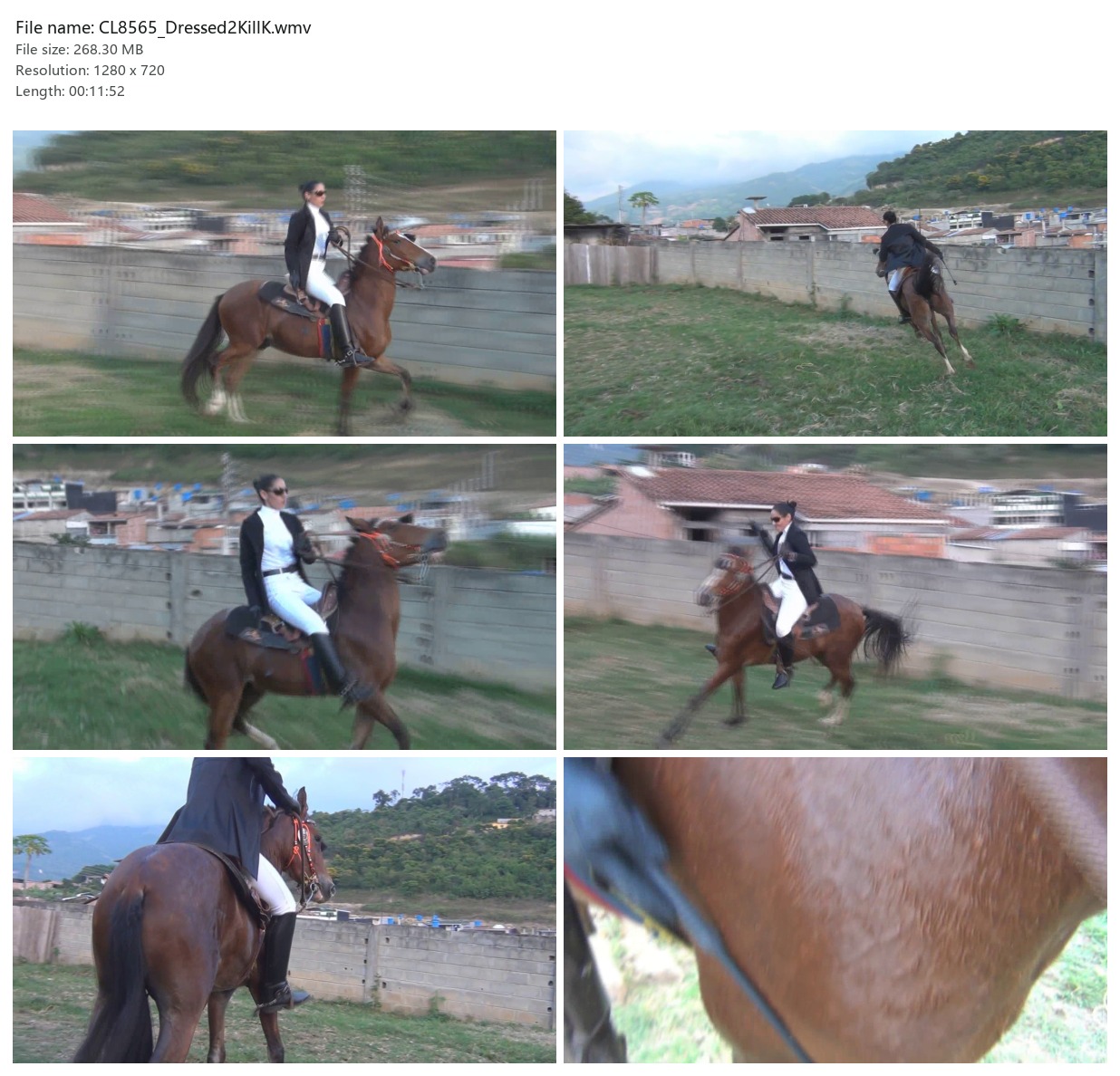 CL8565_Dressed2KillK.wmv_2x3.jpg
