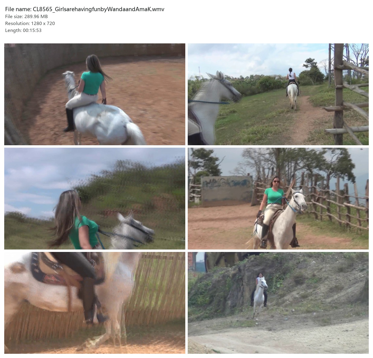 CL8565_GirlsarehavingfunbyWandaandAmaK.wmv_2x3.jpg