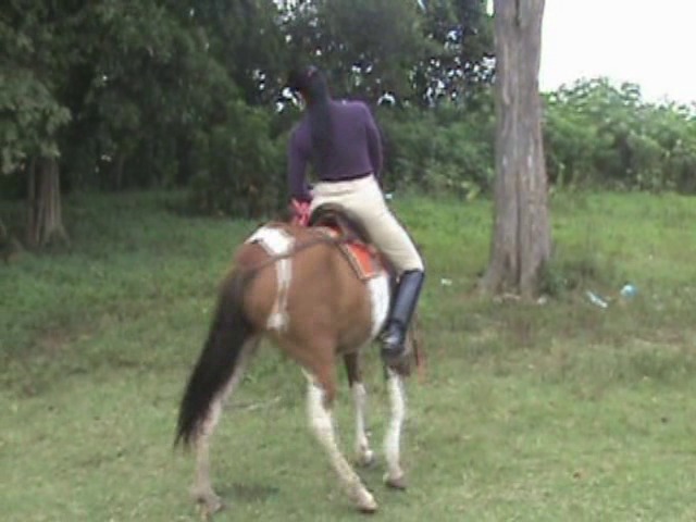 CL8565_GoddessKrystallonhorsebackriding.wmv_random_01.jpg