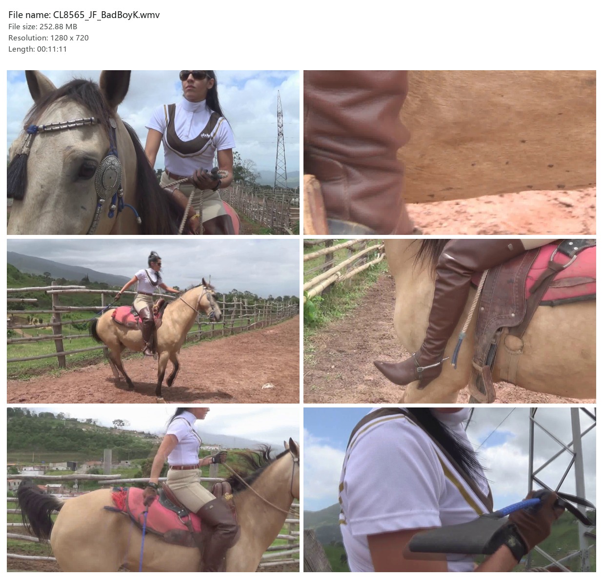 CL8565_JF_BadBoyK.wmv_2x3.jpg