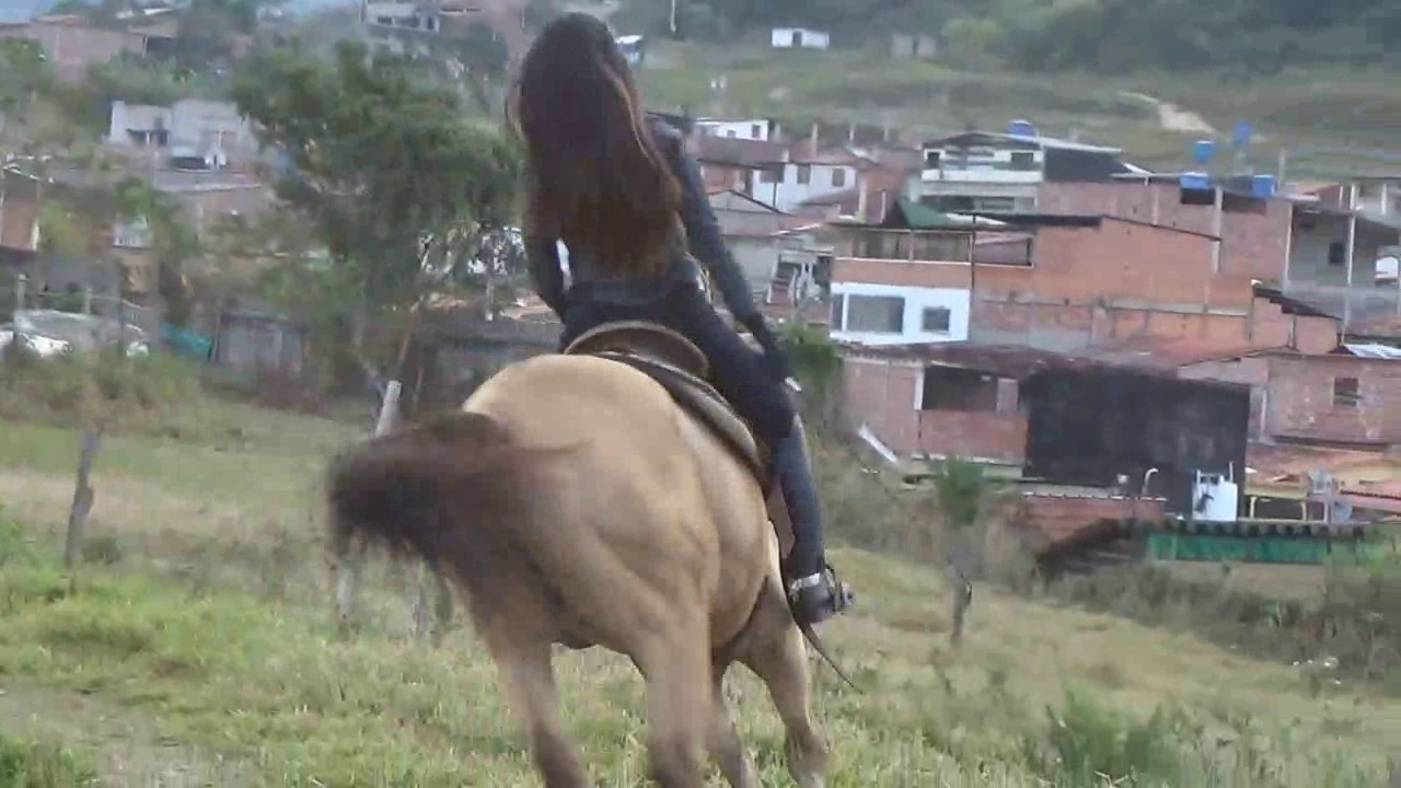 CL8565_JF_GallopingAndChapaAdrianna.wmv_random_01.jpg