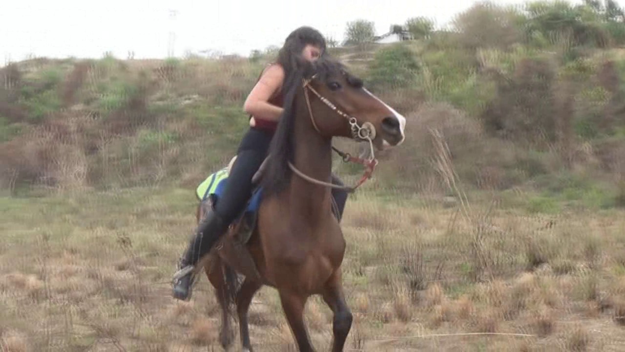 CL8565_jf_je_alondrafirstrideoncastaway.wmv_random_01.jpg