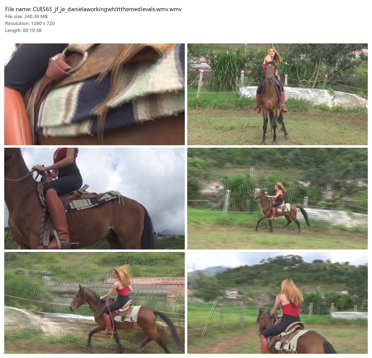 CL8565_jf_je_danielaworkingwhittthemedievals.wmv.wmv_2x3.jpg