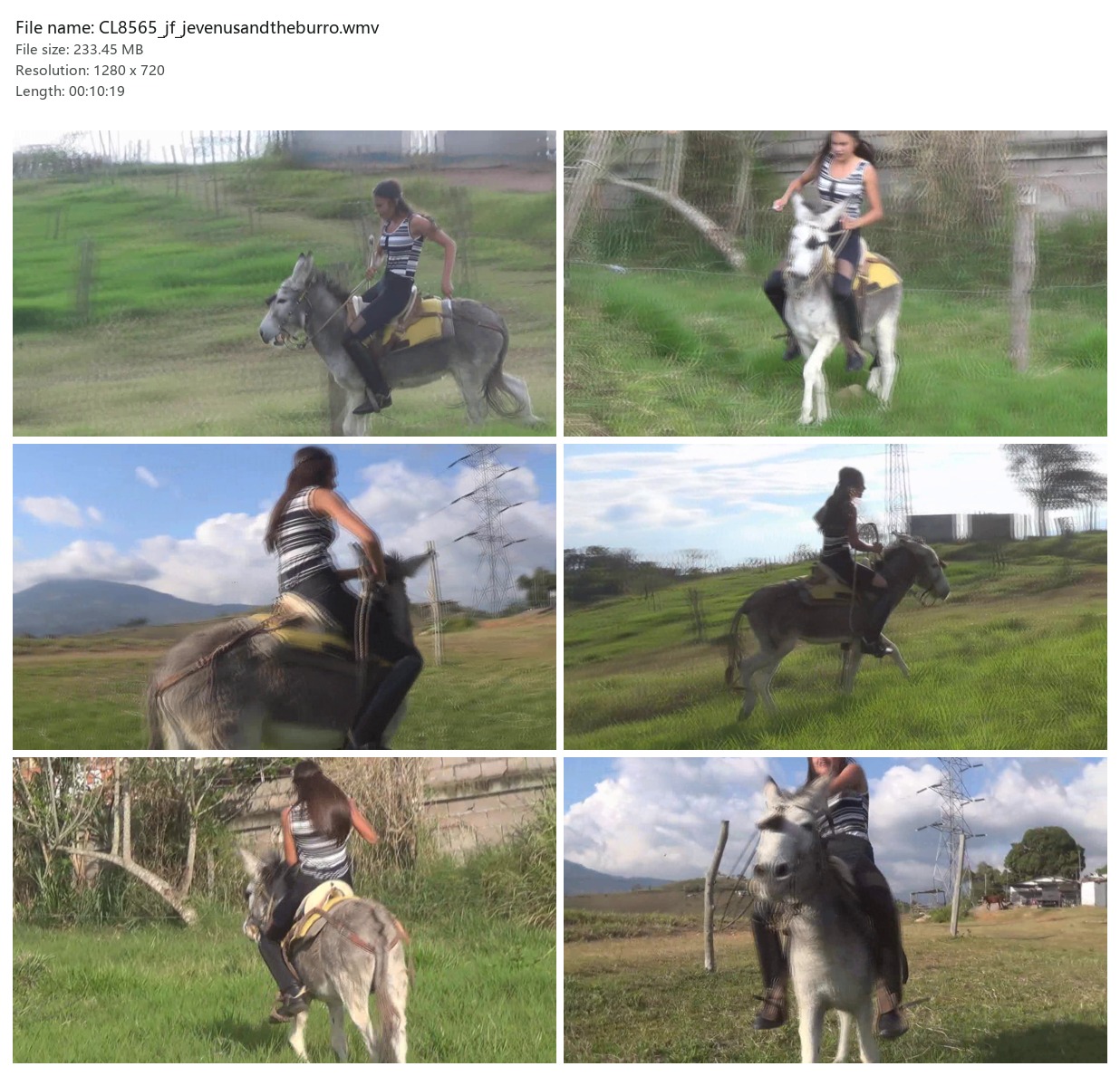 CL8565_jf_jevenusandtheburro.wmv_2x3.jpg