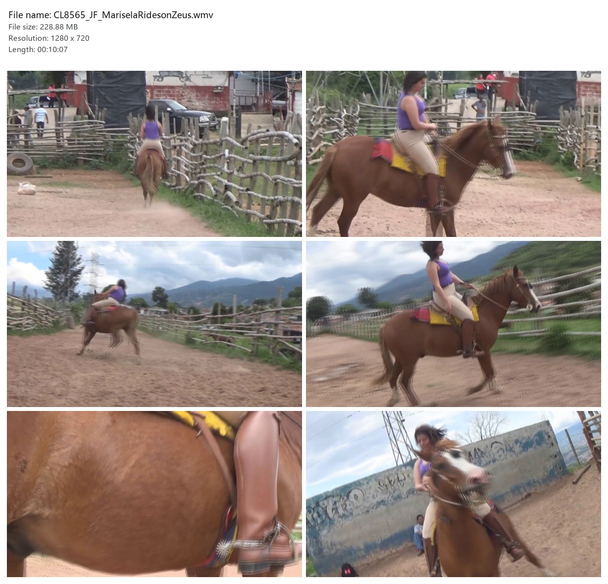 CL8565_JF_MariselaRidesonZeus.wmv_2x3.jpg