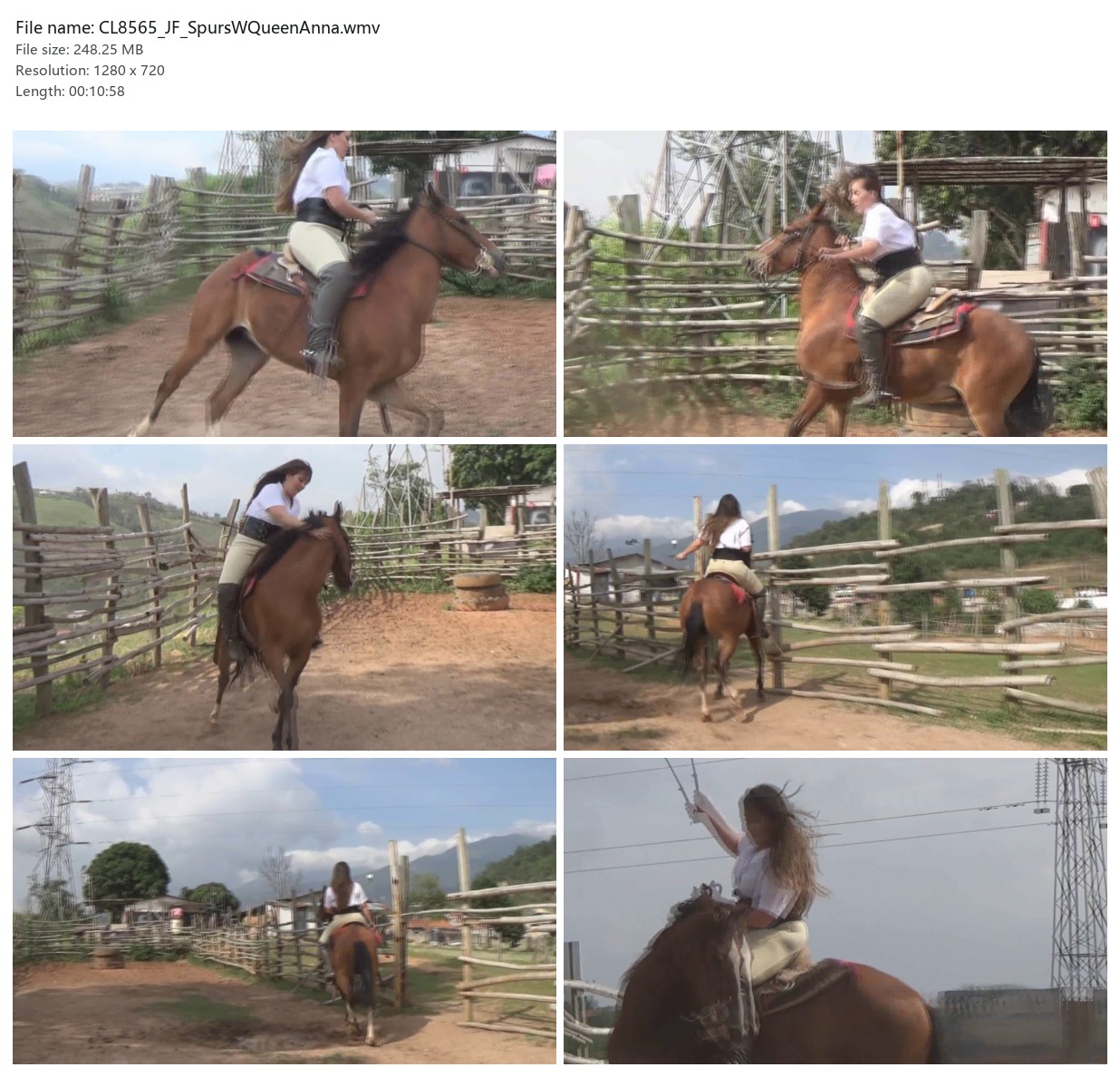 CL8565_JF_SpursWQueenAnna.wmv_2x3.jpg