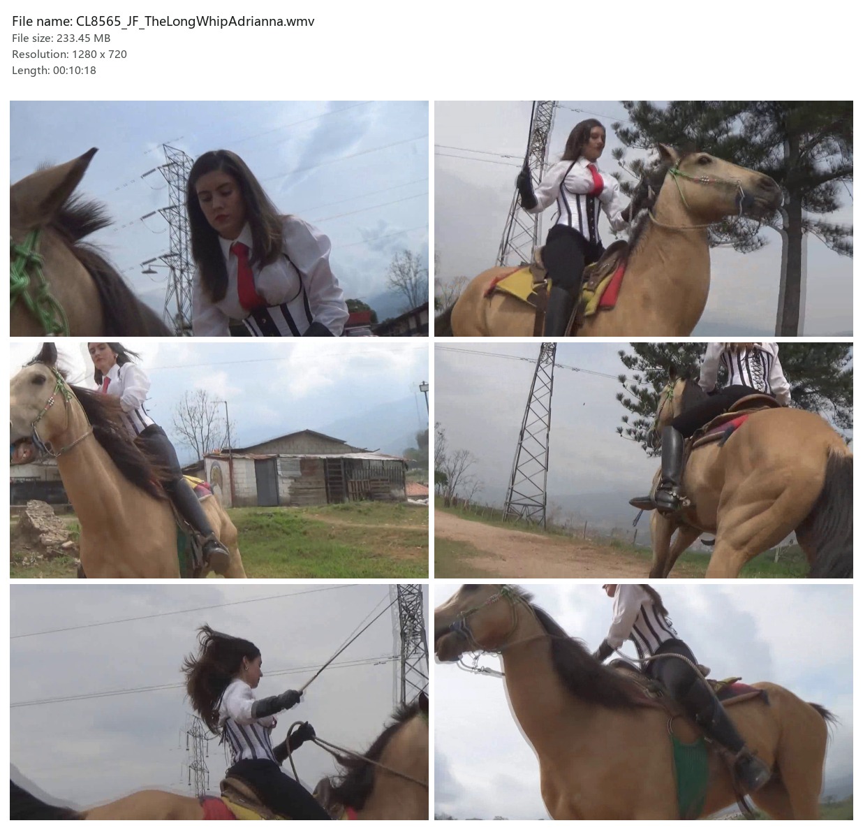 CL8565_JF_TheLongWhipAdrianna.wmv_2x3.jpg