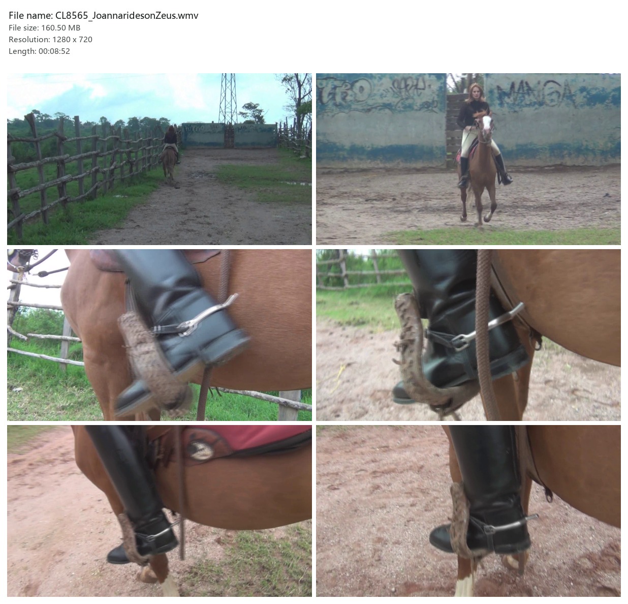 CL8565_JoannaridesonZeus.wmv_2x3.jpg