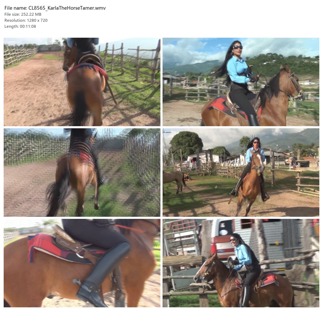 CL8565_KarlaTheHorseTamer.wmv_2x3.jpg