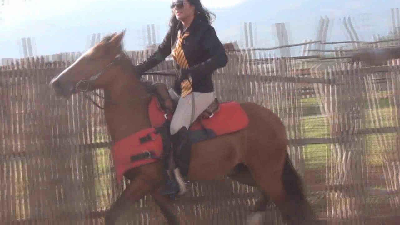 CL8565_KarlavsPeribeco.wmv_random_01.jpg