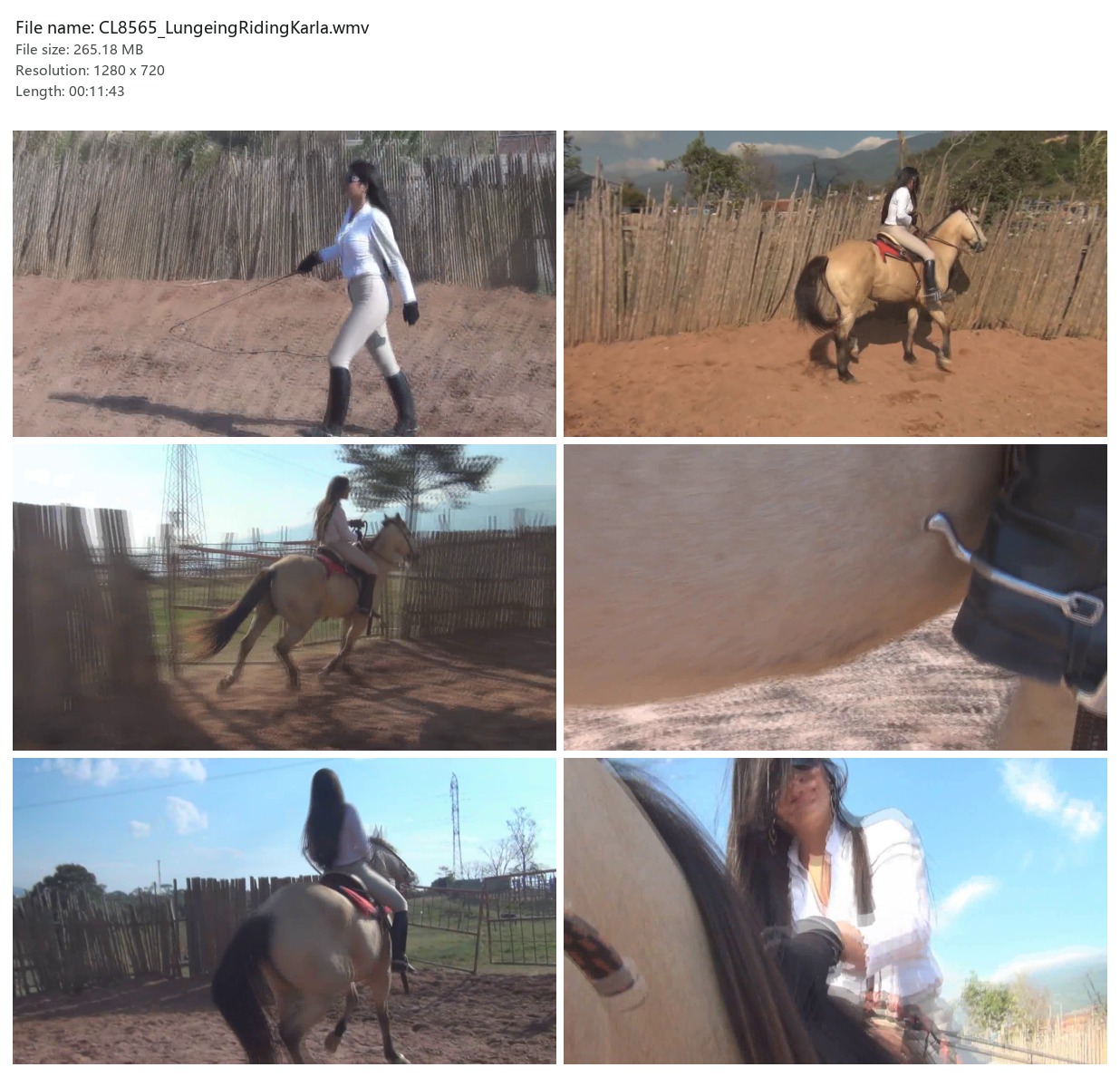 CL8565_LungeingRidingKarla.wmv_2x3.jpg