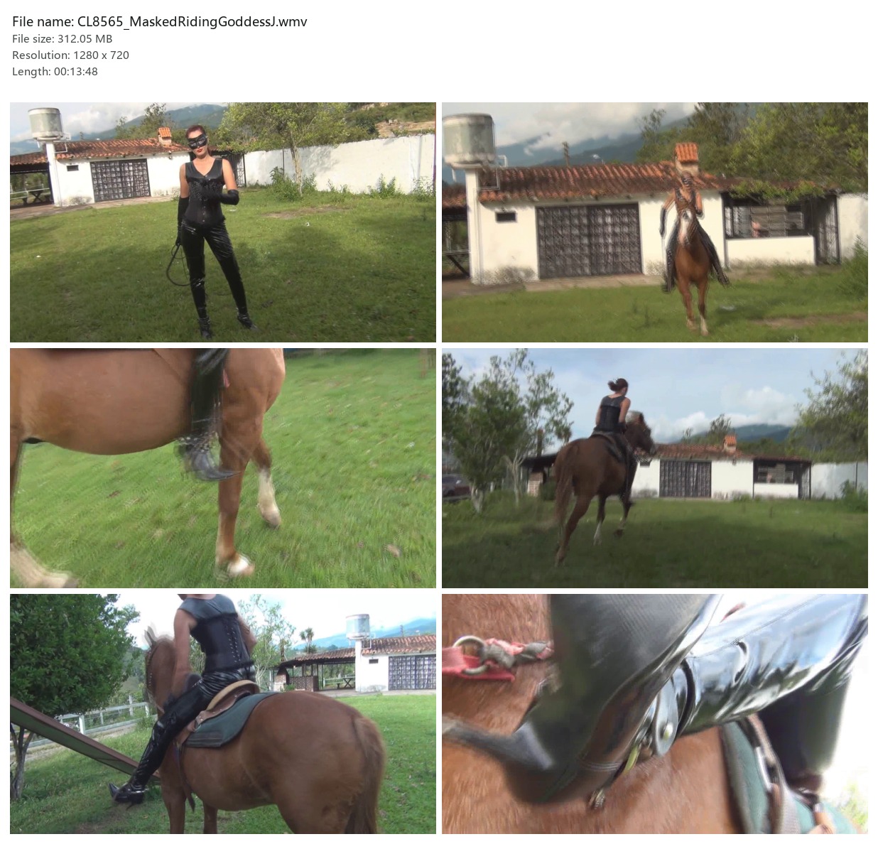 CL8565_MaskedRidingGoddessJ.wmv_2x3.jpg
