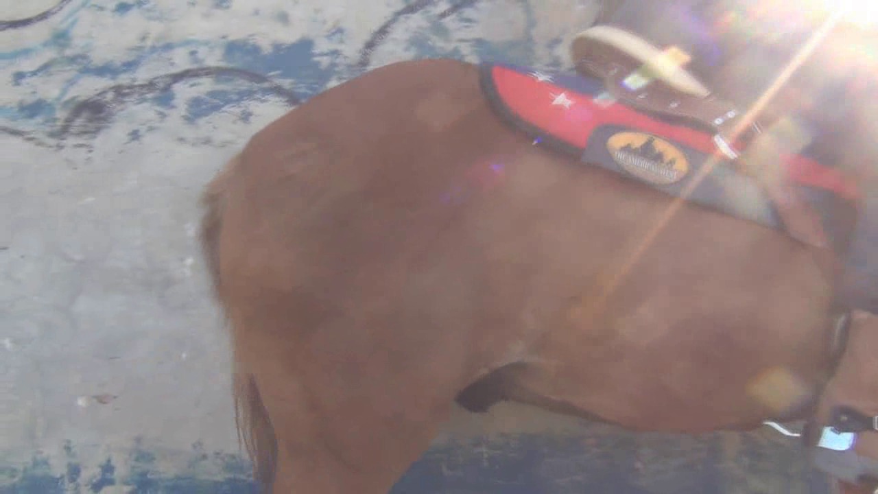 CL8565_MyFirstChapaLessonJK.wmv_random_01.jpg