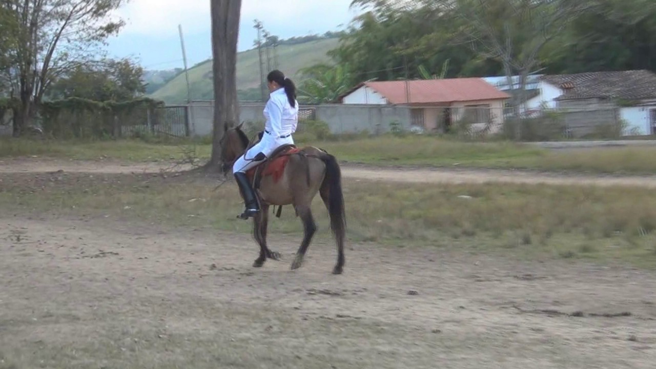 CL8565_NiceRideKalinda.wmv_random_01.jpg