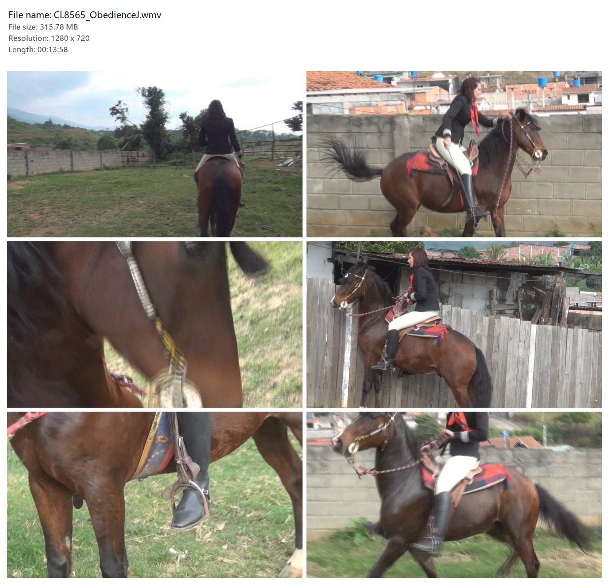 CL8565_ObedienceJ.wmv_2x3.jpg