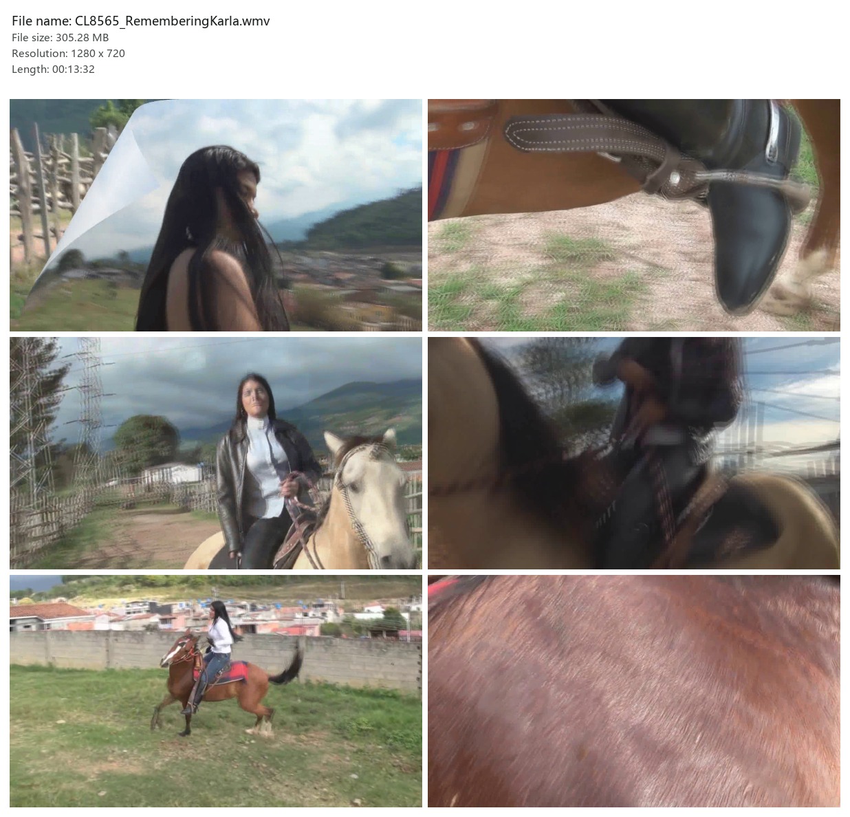 CL8565_RememberingKarla.wmv_2x3.jpg