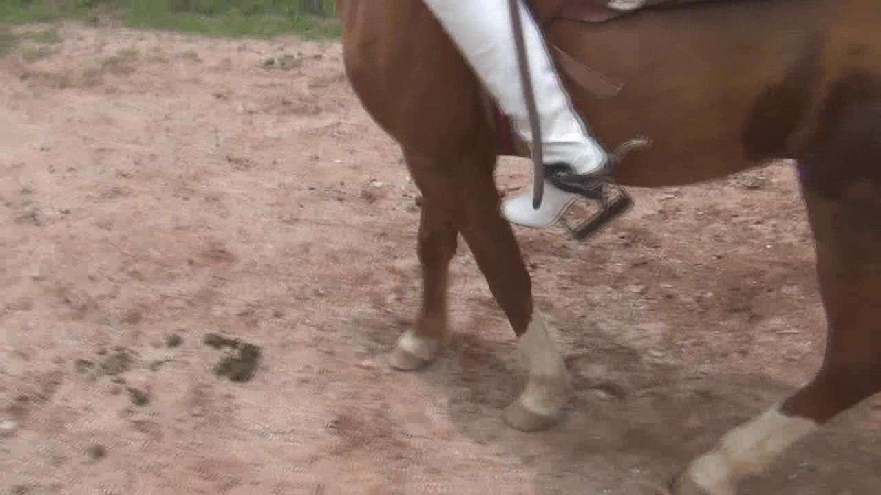 CL8565_RidingAngelinWhiteJ.wmv_random_01.jpg